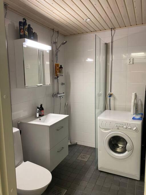 Cozy Studio In The City Center Rovaniemi Extérieur photo